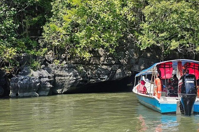 Langkawi Mangrove & Bat Cave Expedition: Sharing Boat With Option - Final Thoughts