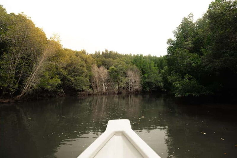 Langkawi Mangrove Boat River Cruise and Private Beach Tour - Key Points