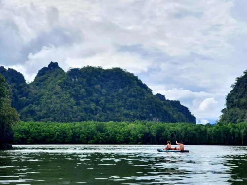 Langkawi: Mangrove Kayak Tour with Wildlife Spotting - Langkawi: Mangrove Kayak Tour with Wildlife Spotting — A Guide to Natural Serenity