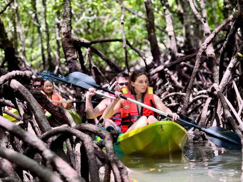 langkawi-mangrove-kayaking-by-farly