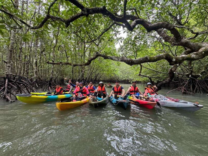 langkawi-mangrove-kayaking-by-farly