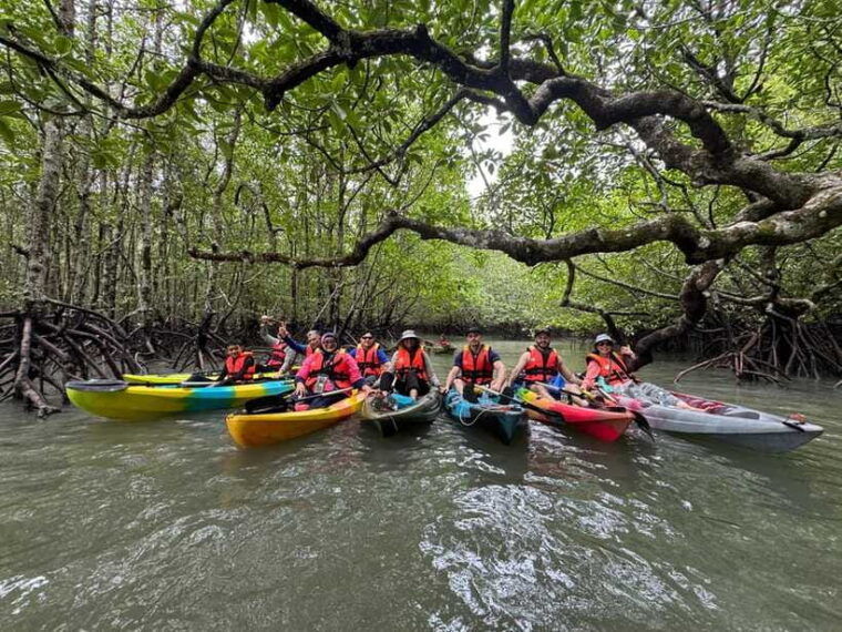 langkawi-mangrove-kayaking-by-farly