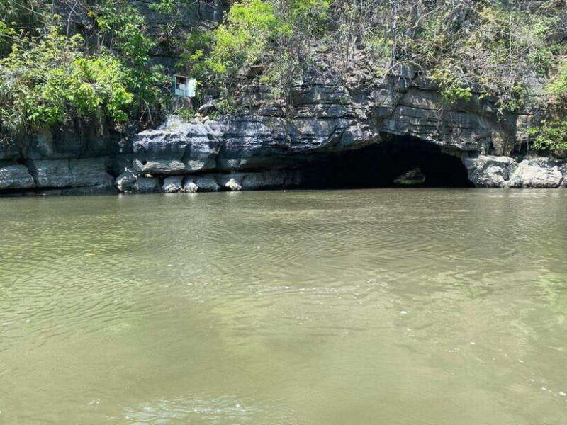 langkawi-mangrove-monkey-package
