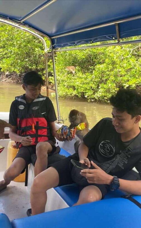 langkawi-mangrove-monkey-package