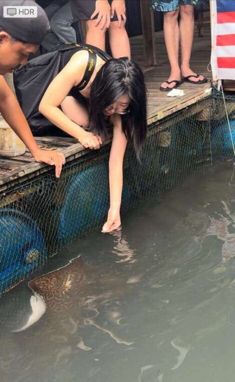 langkawi-mangrove-monkey-package