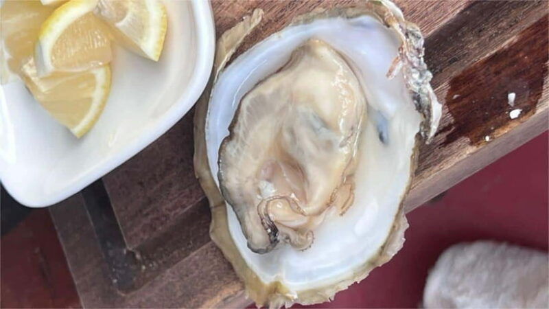 langkawi-mangrove-snorkeling-oyster-farms