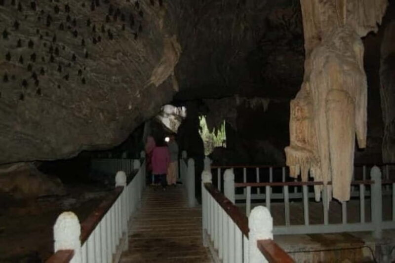 Langkawi Mangrove Tour : Estimated 1 hour Lunch Available - Authentic Insights from Past Travelers