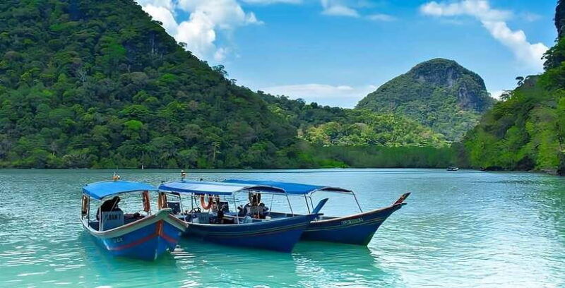 langkawi-mangrove-tour-with-kilim-geoforest-park-bat-cave