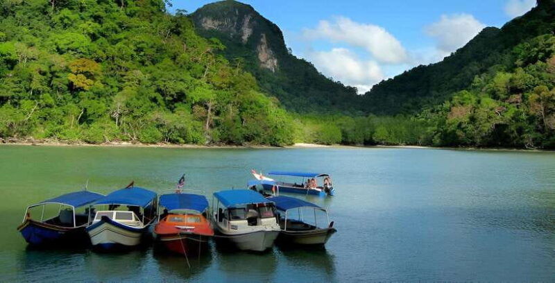 langkawi-mangrove-tour-with-kilim-geoforest-park-bat-cave