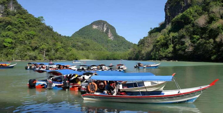 langkawi-mangrove-tour-with-kilim-geoforest-park-bat-cave