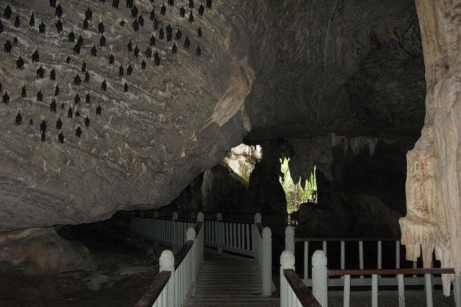Langkawi Mangrove with Kayaking Experince - An In-Depth Look at the Itinerary