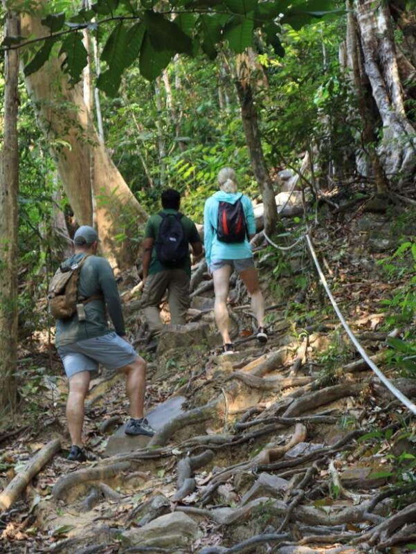 langkawi-mount-matchinchang-hiking-tour