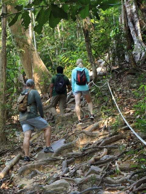 langkawi-mount-matchinchang-hiking-tour