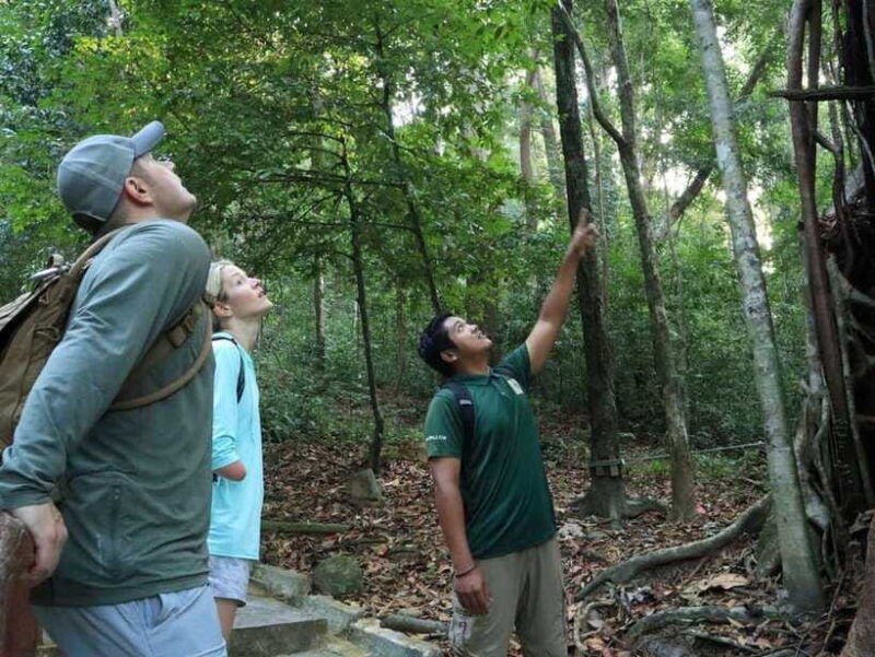 langkawi-mount-matchinchang-hiking-tour