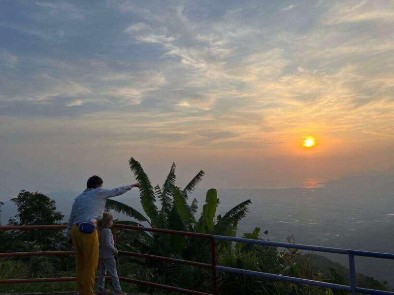 langkawi-nighttime-rainforest-tour-with-nature-guide