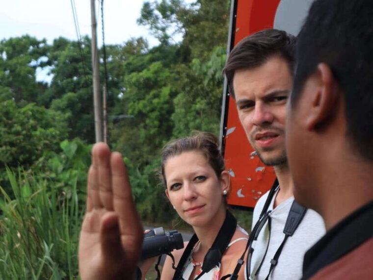 langkawi-nighttime-rainforest-tour-with-nature-guide