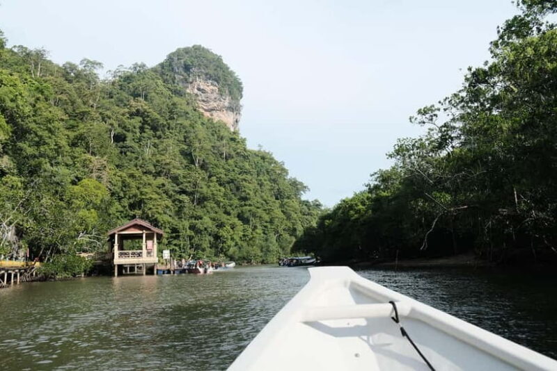 Langkawi: Private 2-Hour Mangrove Tour with Hotel Transfer - Final Thoughts