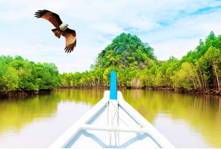 langkawi-private-car-and-mpv-island-tour