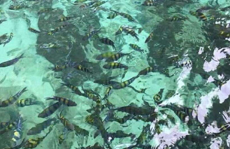 langkawi-pulau-dangli-snorkeling-adventure