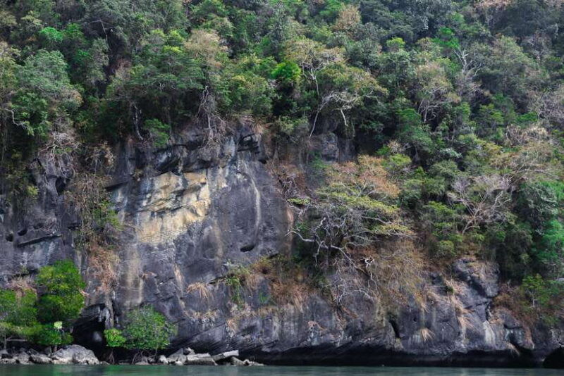 langkawi-royal-mangrove-tour-with-snorkeling-package