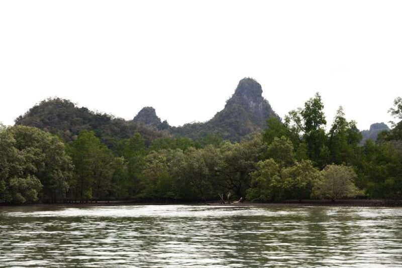 langkawi-royal-mangrove-tour-with-snorkeling-package