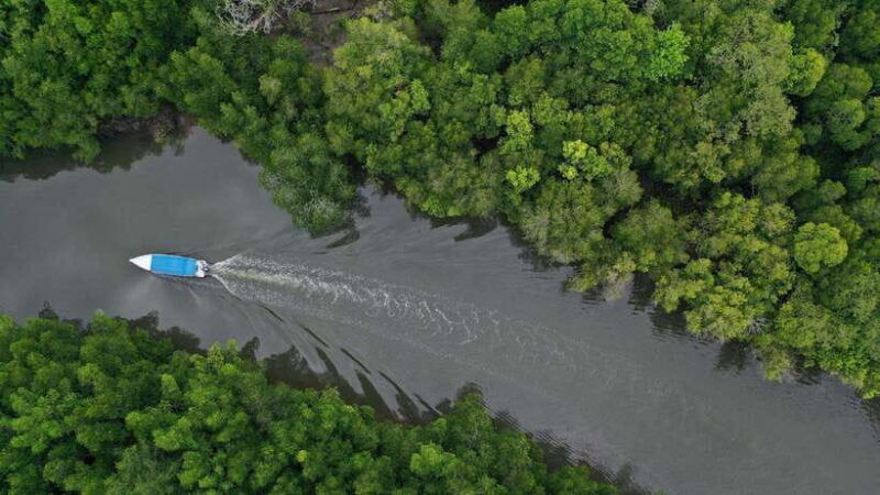 langkawi-signature-mangrove-discovery-boat-tour-shared