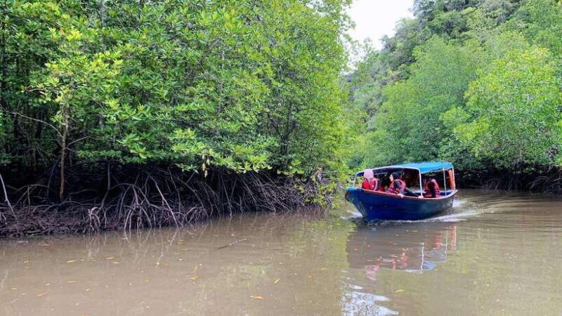 langkawi-signature-mangrove-discovery-boat-tour-shared