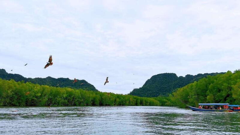langkawi-signature-mangrove-discovery-boat-tour-shared