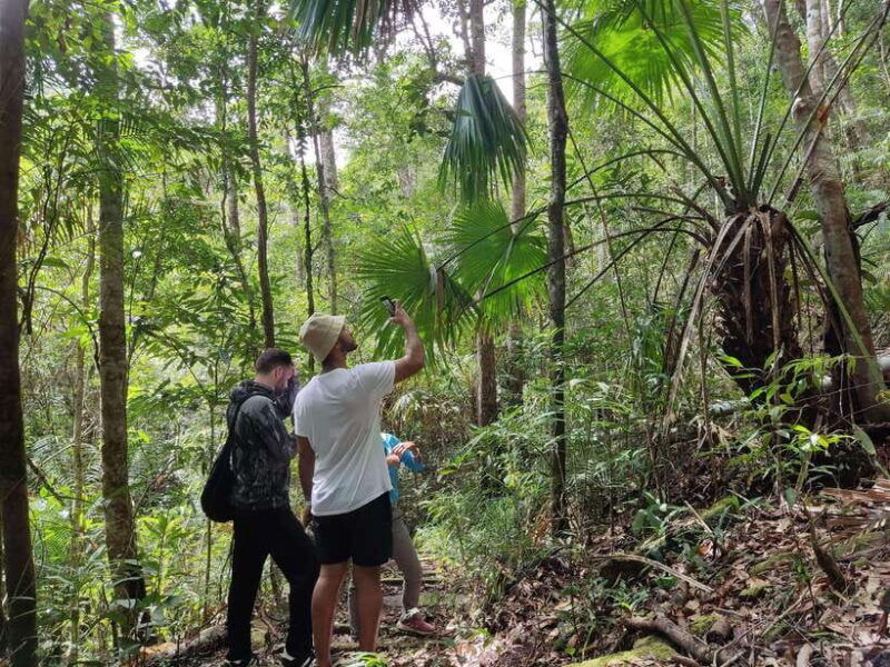 langkawi-skytrail-hiking-and-cable-car-experience