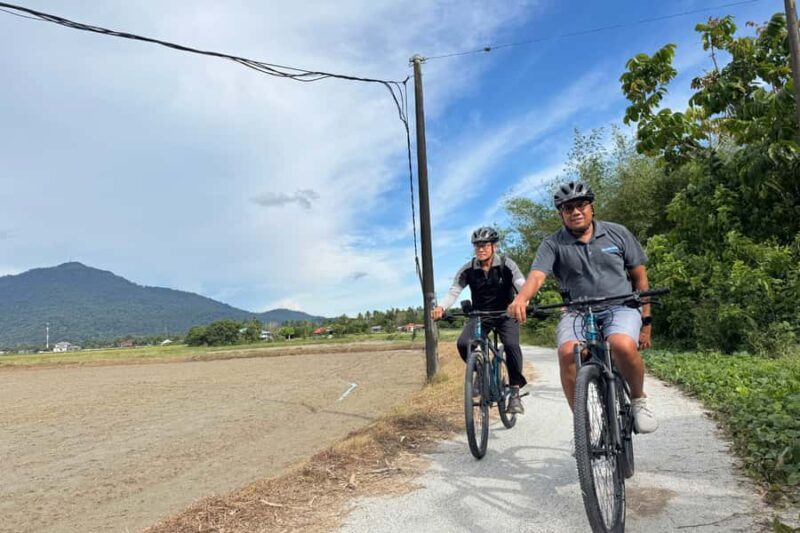 Langkawi: Small Group Countryside Cycling Tour Paddy Fields - Key Points