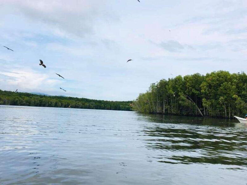 langkawi-tanjung-rhu-mangrove-speedboat-tour