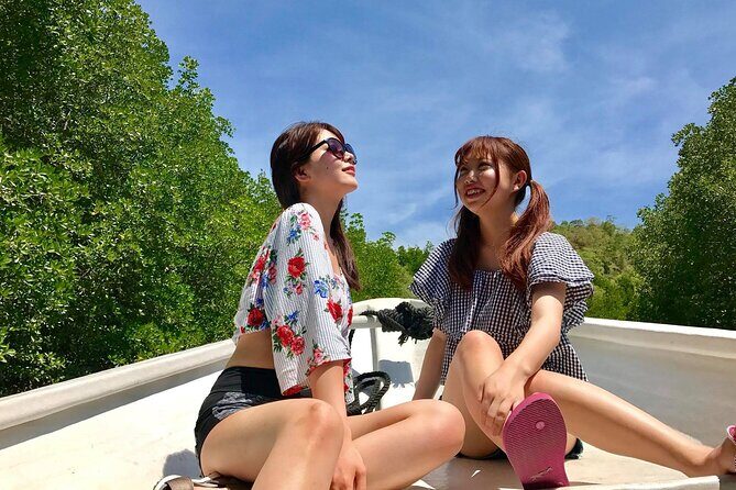 Langkawi Tour B - Land Tour & Tanjung Rhu Mangrove Tour - Introduction