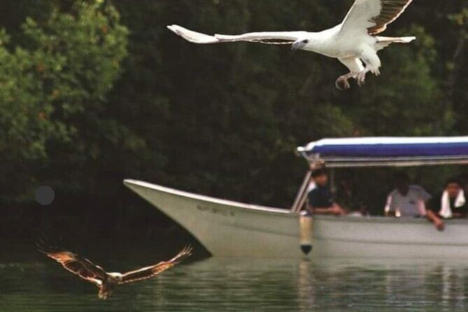 Langkawi Tour B - Land Tour & Tanjung Rhu Mangrove Tour - Key Points