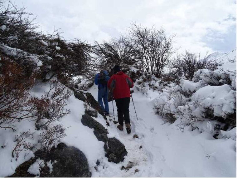 langtang-valley-trek-5-days-guide-transport-permit