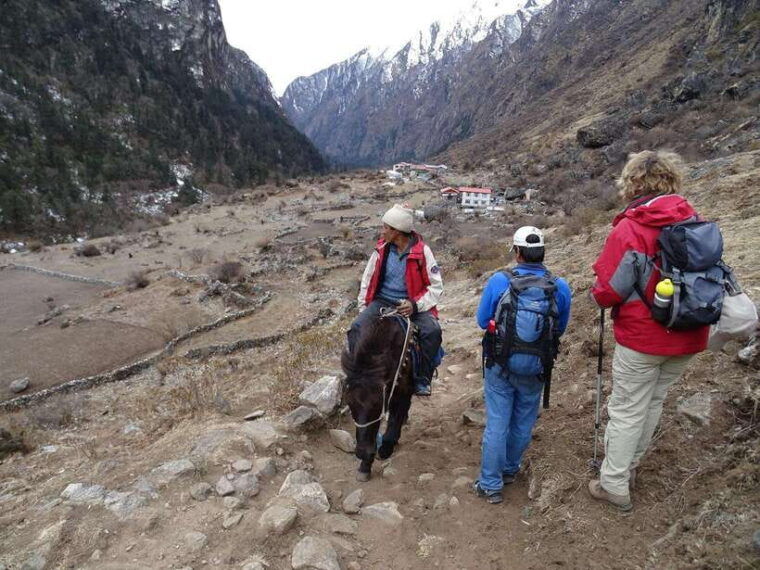langtang-valley-trek-5-days-guide-transport-permit