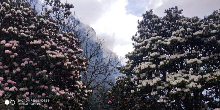 langtang-valley-trek