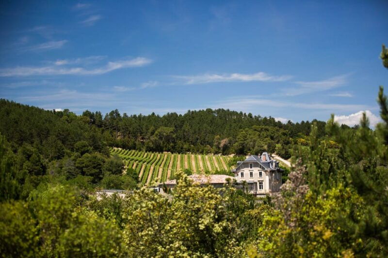 languedoc-heritage-tour-tasting-at-domaine-de-baronarques