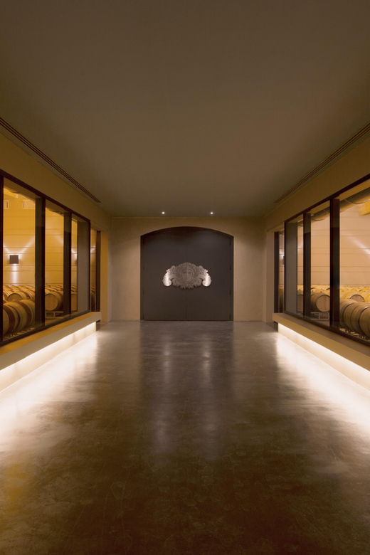 languedoc-terroir-tour-tasting-at-domaine-de-baronarques