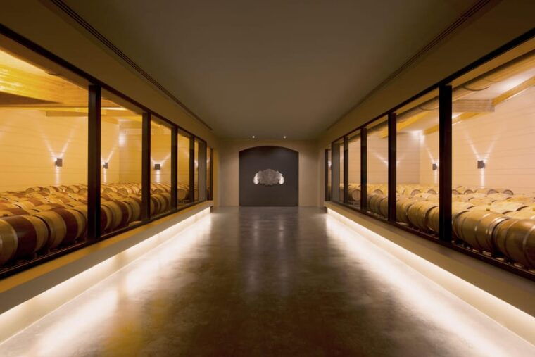 languedoc-terroir-tour-tasting-at-domaine-de-baronarques