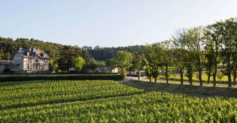 languedoc-tour-and-tasting-at-domaine-de-baronarques