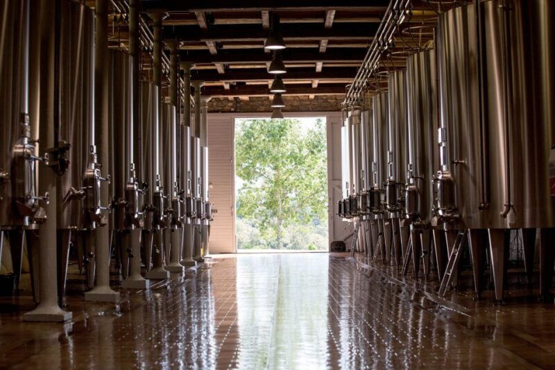 languedoc-tour-and-tasting-at-domaine-de-baronarques