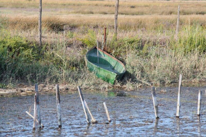 lansargues-horse-drawn-carriage-ride-with-guide