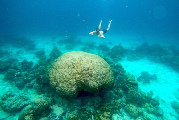 lanta-koh-rok-koh-haa-snorkel-beach-tour-by-speedboat