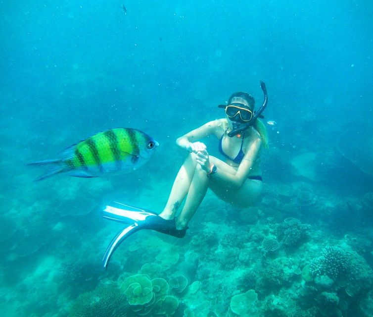 lanta-koh-rok-koh-haa-snorkel-beach-tour-by-speedboat