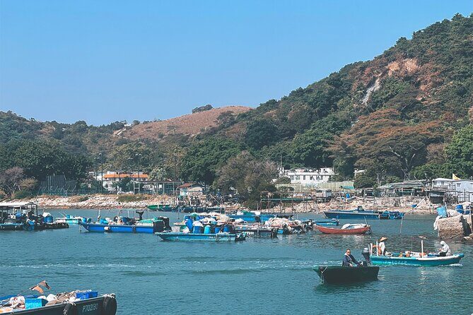 Lantau Group Tour: Dolphin Watching, Fishing Village & Cable Car - The Sum Up