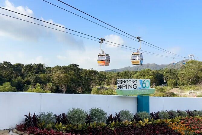 Lantau Island and Giant Buddha Cable Car Group Tour with Hotel Pickup in Hong Kong Island - Additional Information