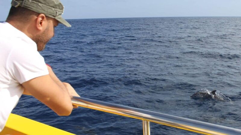 lanzarote-2-5-hour-sunset-and-dolphins-cruise