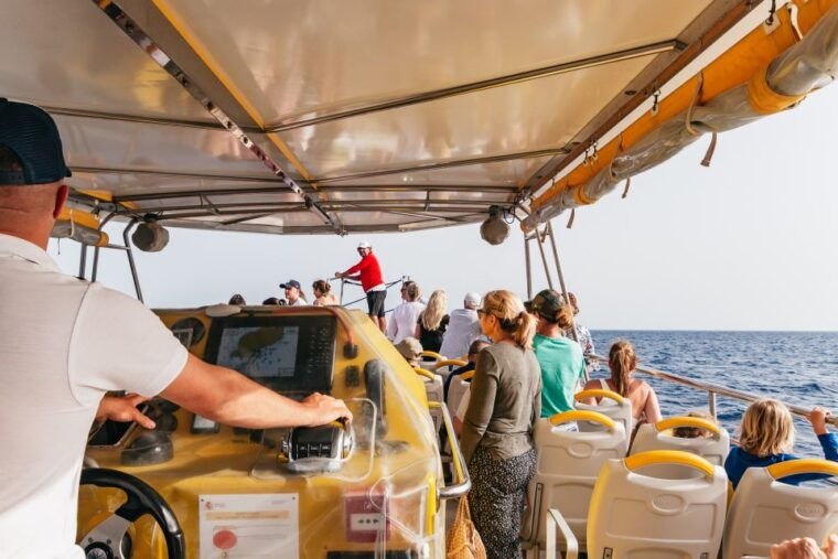 lanzarote-2-5-hour-sunset-and-dolphins-cruise