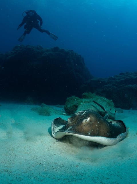 lanzarote-2-dive-package-for-certified-divers