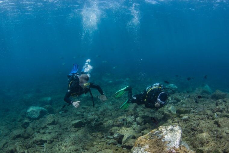 lanzarote-2-dive-package-in-playa-blanca-certified-divers